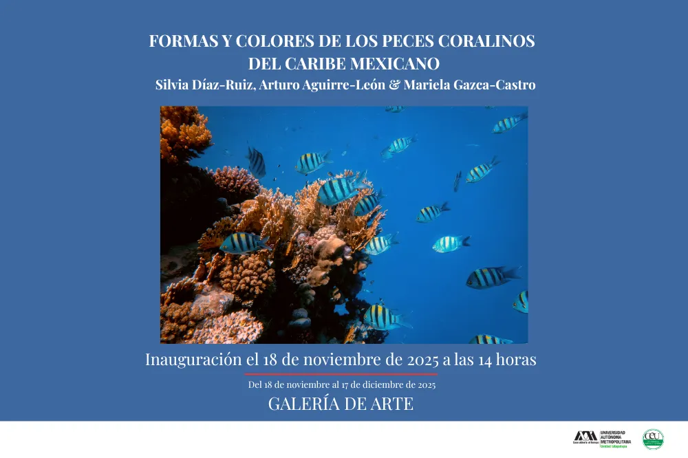 EXPOSICIÓN: Formas y colores de los peces coralinos del Caribe Mexicano