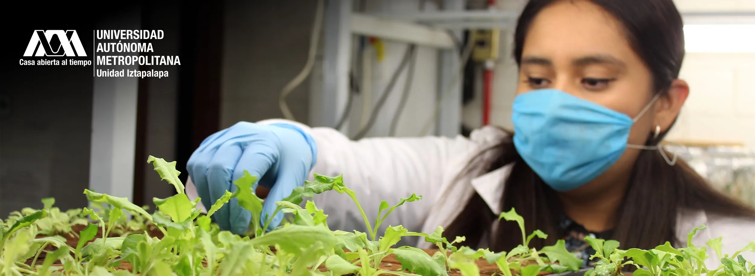 Terna de Candidaturas. Dirección de CBS 2025-2029